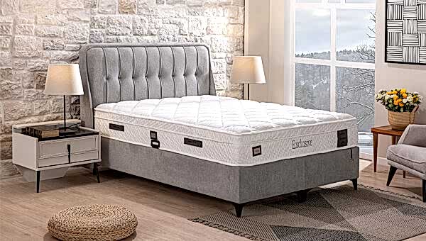 Exclusive Baza-Başlık - 