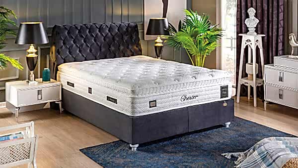 Lion Baza-Başlık - 